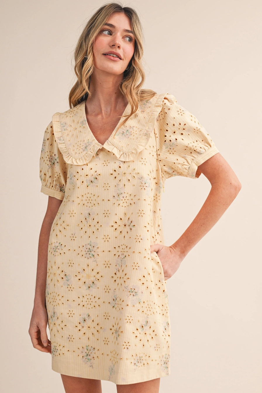 Floral Eyelet Striped Mini Dress