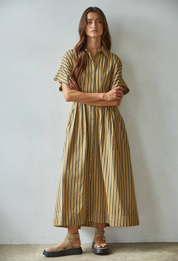Striped Collar Button-Down Flare Dress