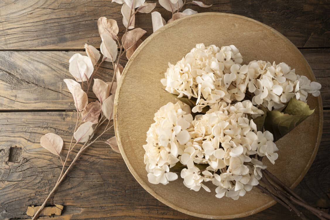 Cream Hydrangea Floral Stem