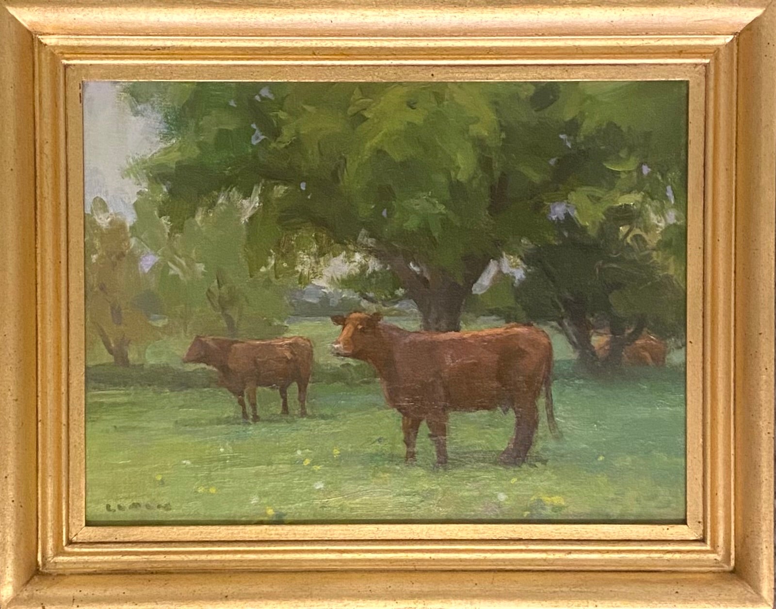 Under The Gentle Rain