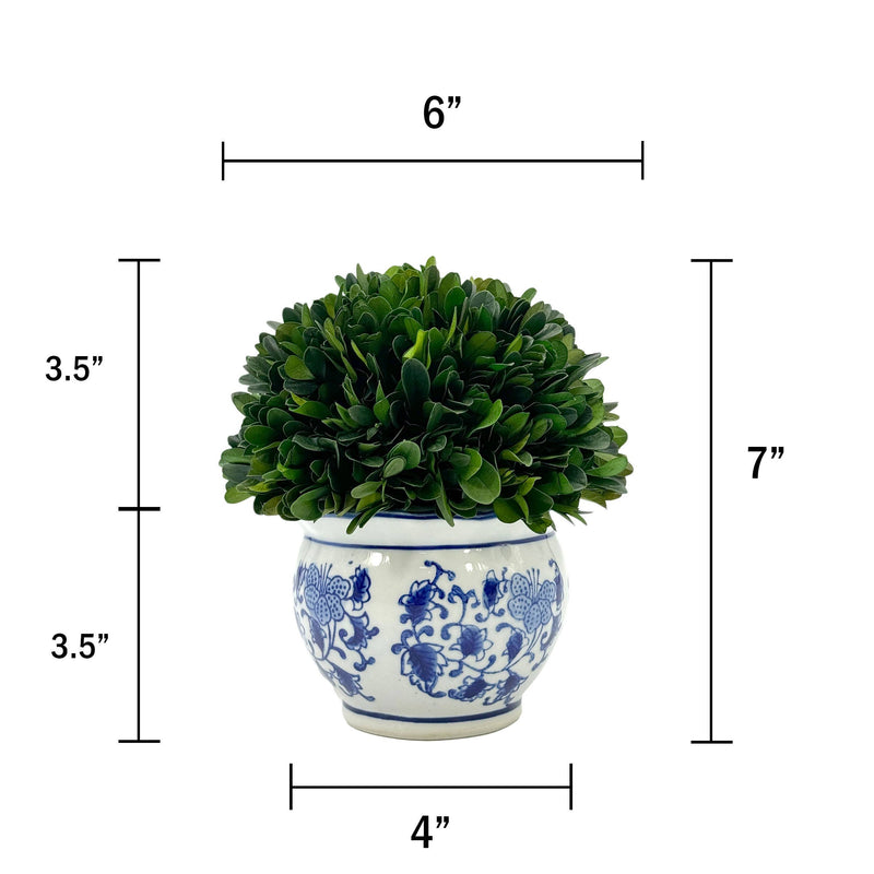 Boxwood Ball in Blue & White Ceramic Pot