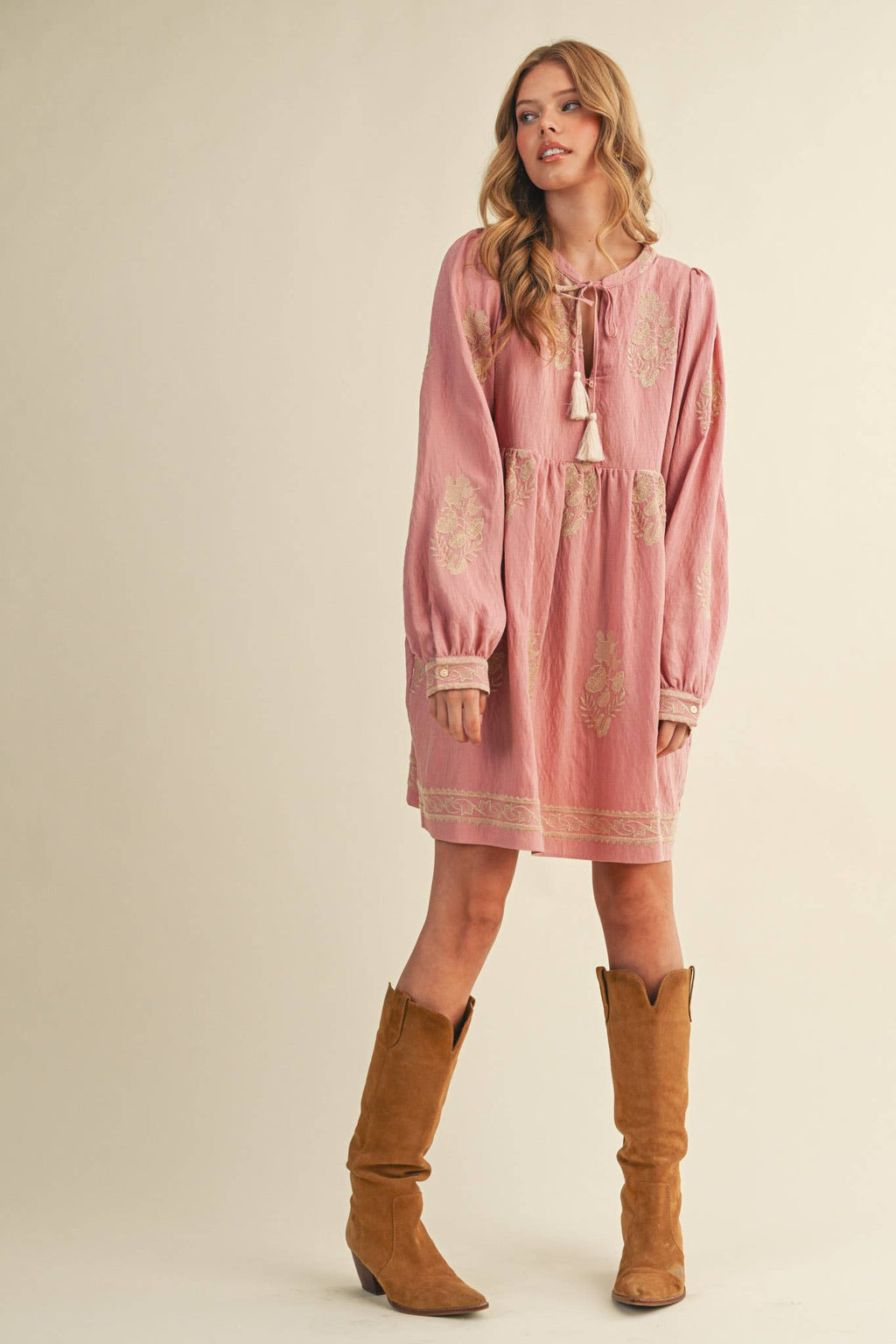 Embroidered Long Puff Sleeve Mini Dress