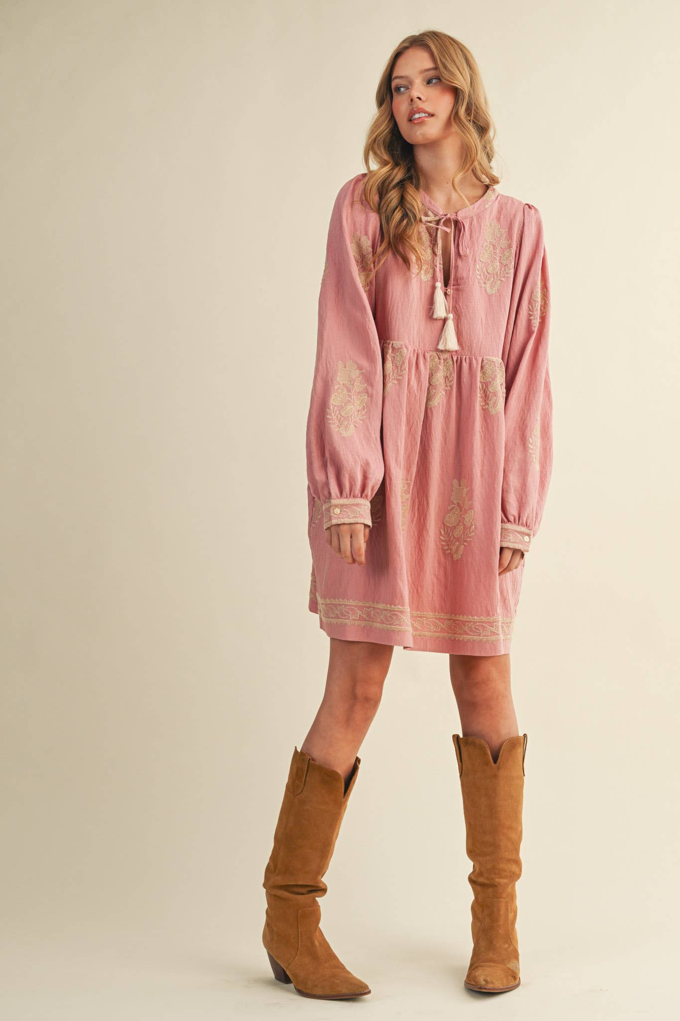 Embroidered Long Puff Sleeve Mini Dress