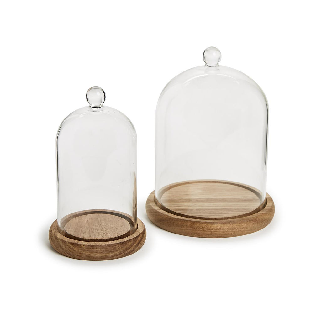 Glass Cloche with Wooden Base