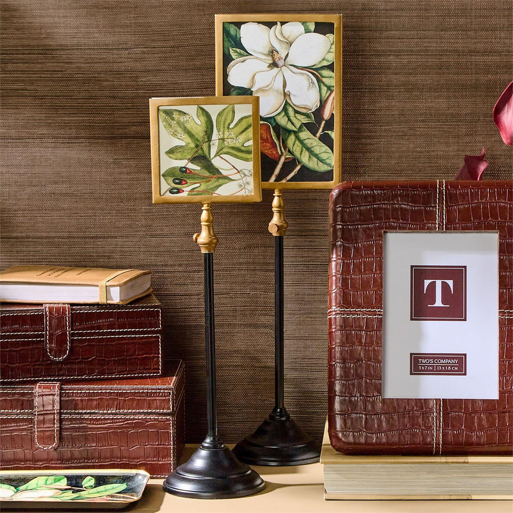 Photo Frame on Telescoping Pole