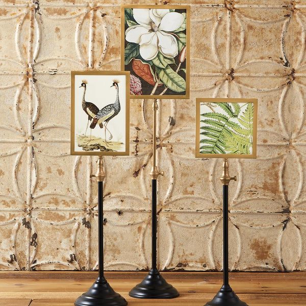 Photo Frame on Telescoping Pole