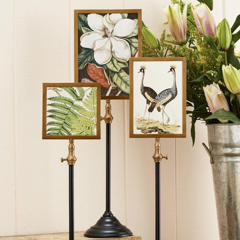 Photo Frame on Telescoping Pole