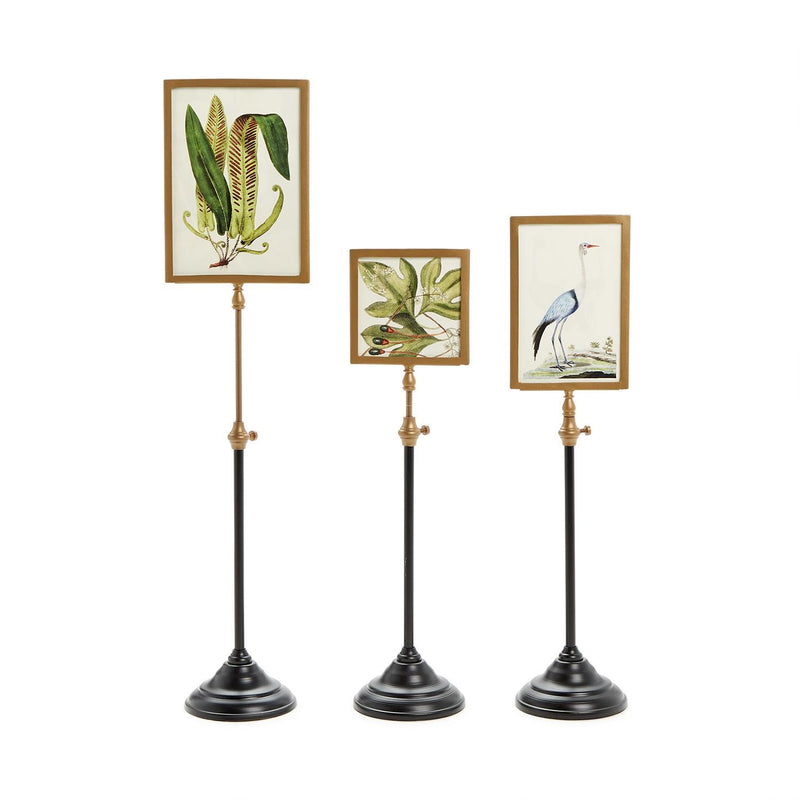 Photo Frame on Telescoping Pole
