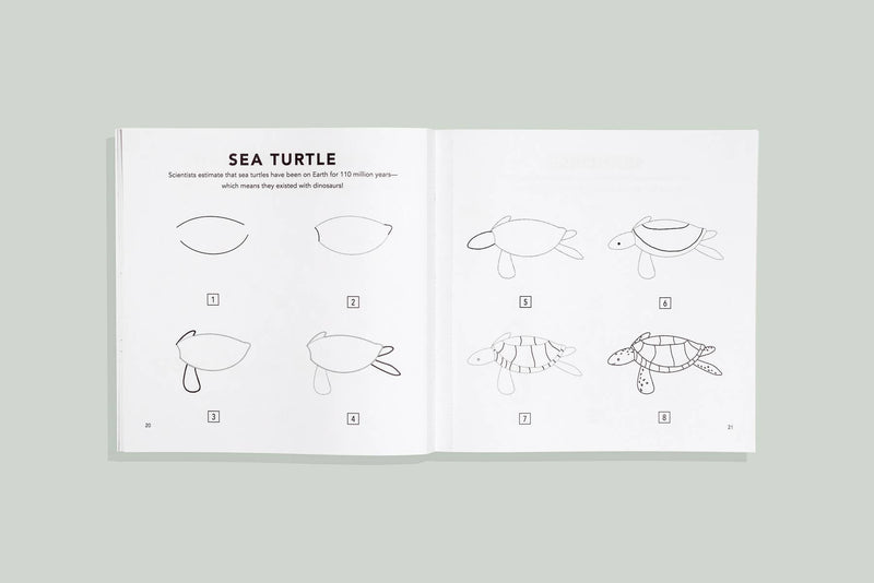 Under the Sea: A How to Draw Art Book for Kids