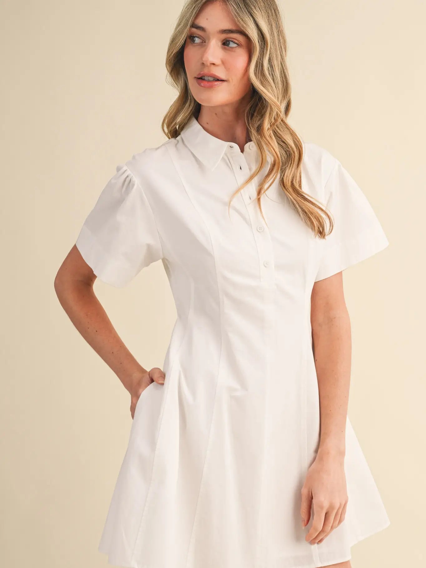 Fit and Flare Short Sleeve Mini Dress