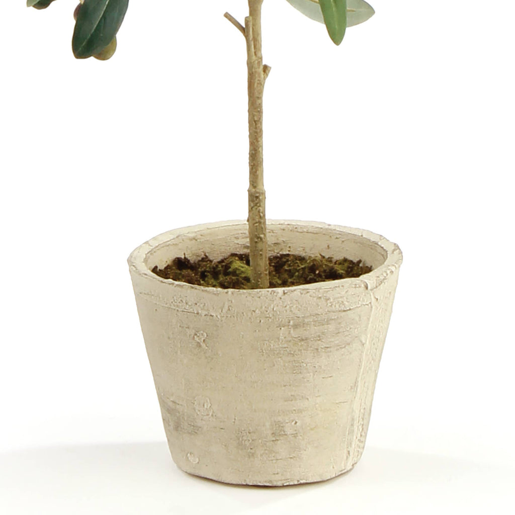 Faux Olive Tree With Fruit In Pot