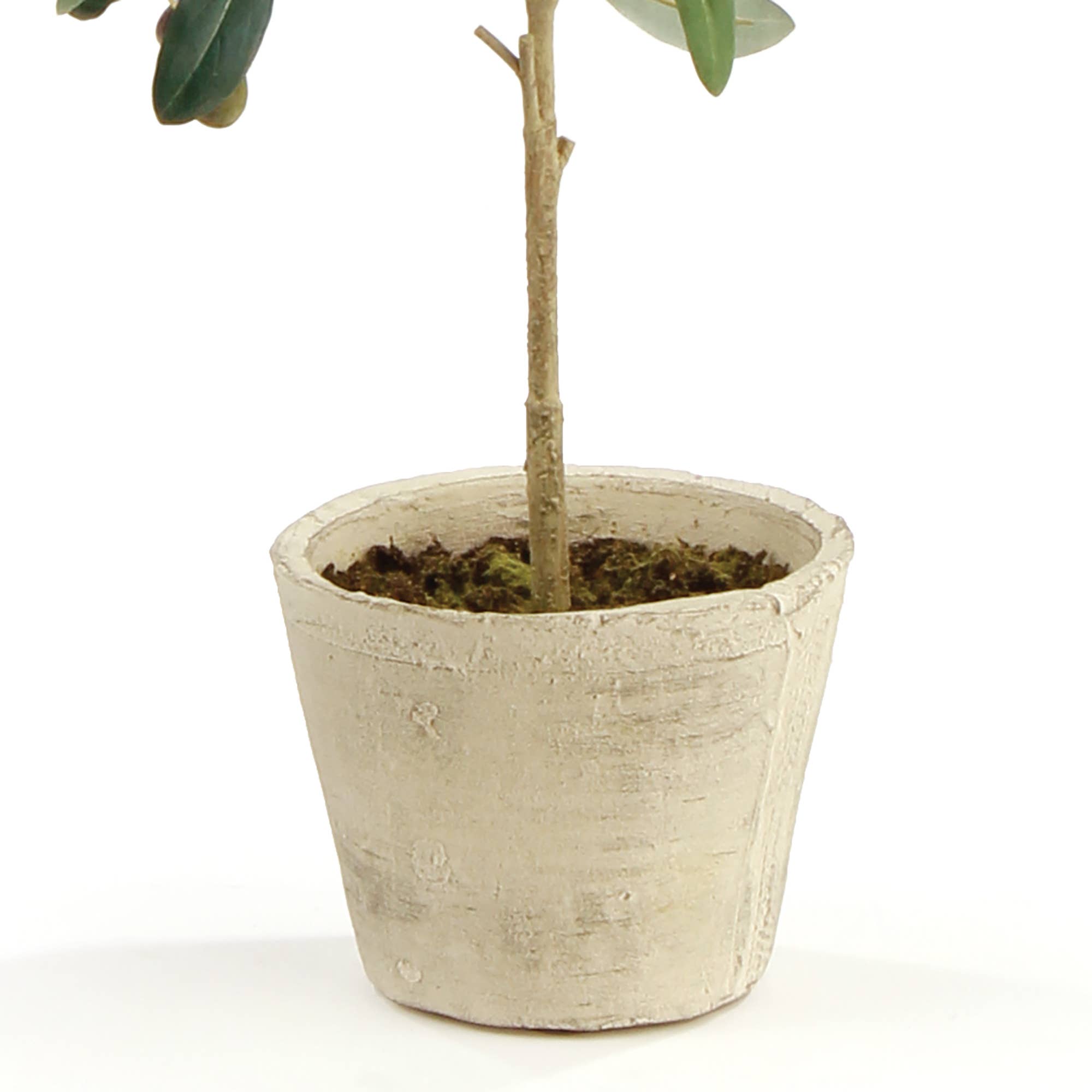 Faux Olive Tree With Fruit In Pot