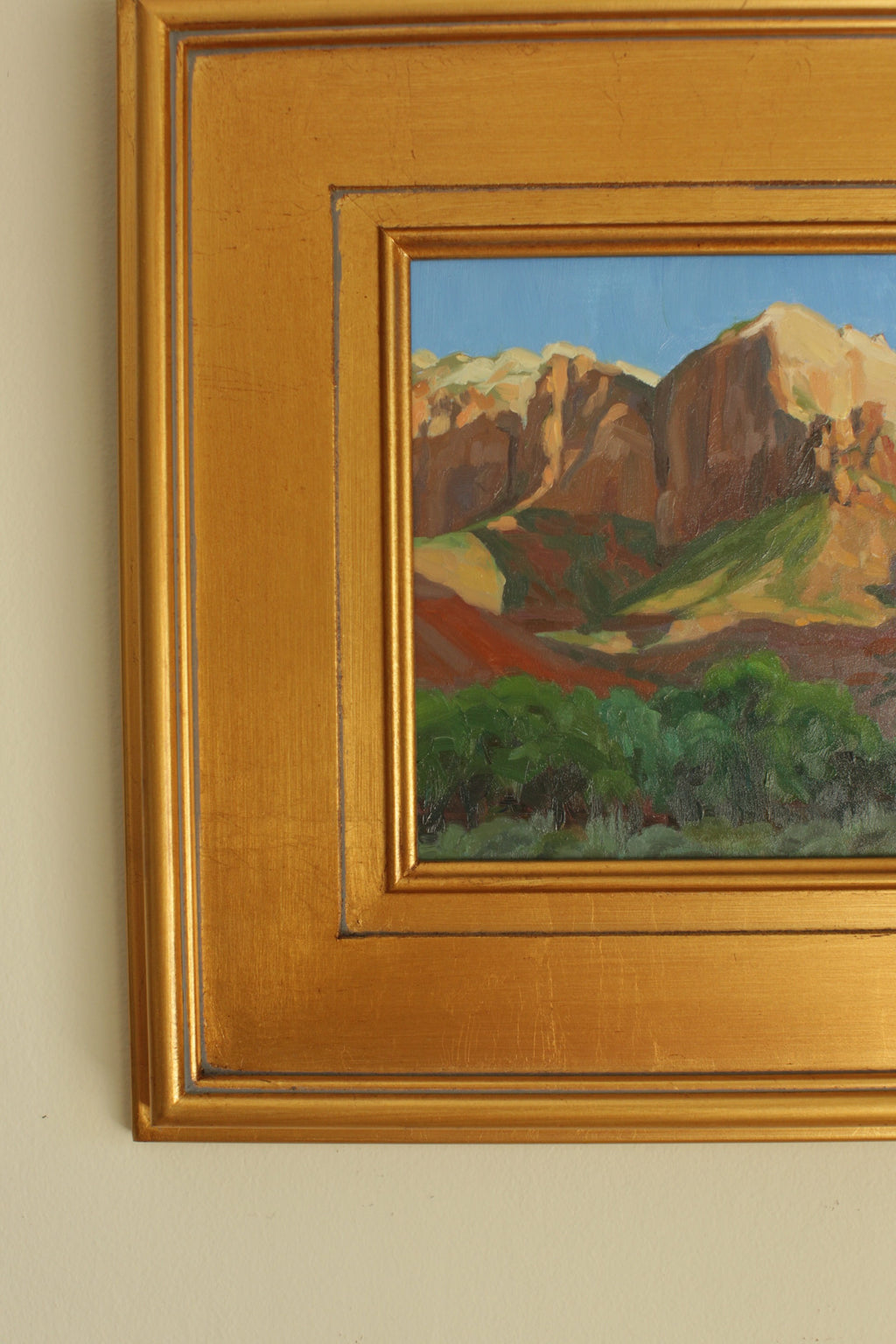 Zion Park Shadows