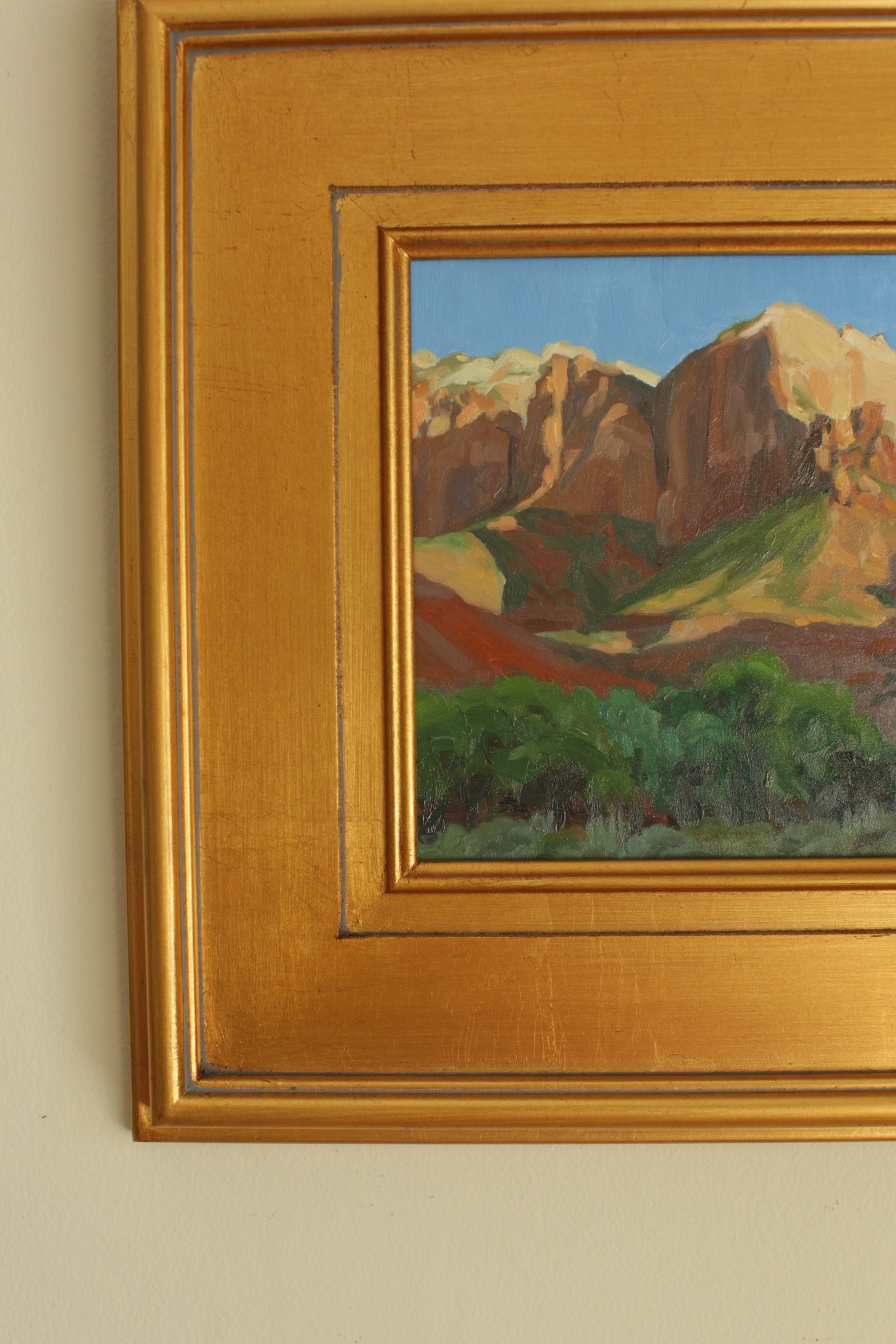 Zion Park Shadows