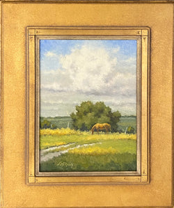 Hilltop Grazing