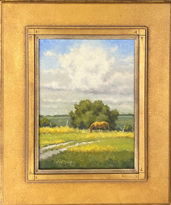 Hilltop Grazing