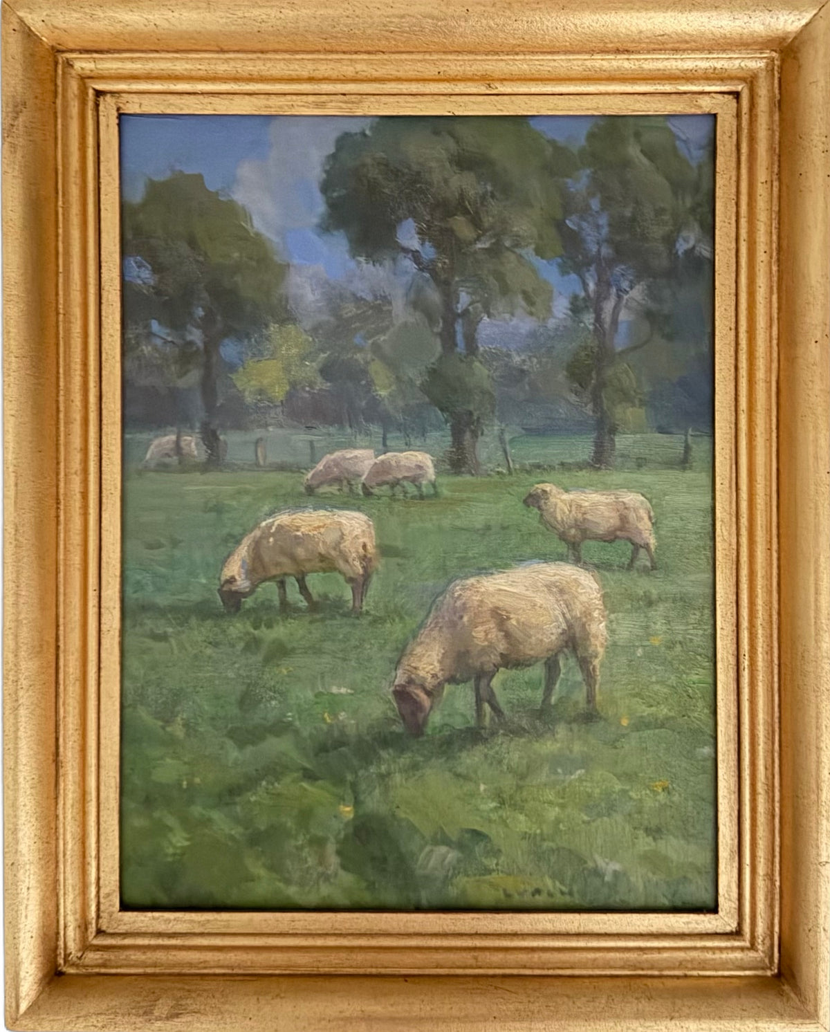 French Sheep Fields Study