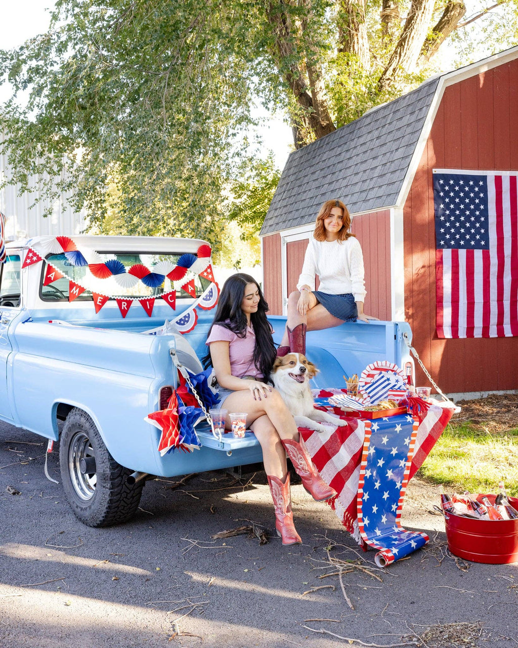 America Felt Pennant Banner
