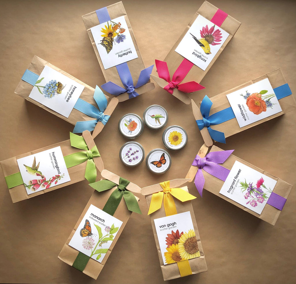 Wildflower Scatter Garden Seeds