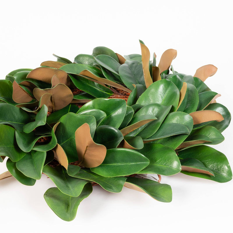 Magnolia Leaf Wreath