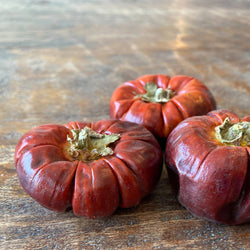 Dried Pumpkins