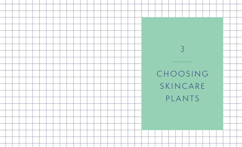 Natural Skincare For All Seasons