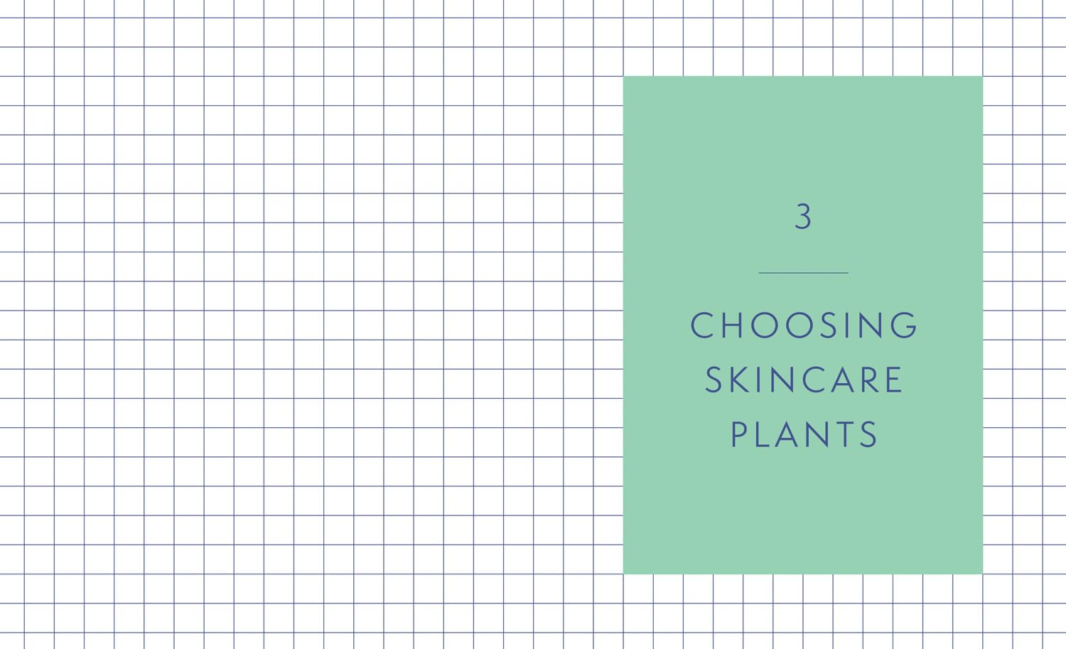 Natural Skincare For All Seasons