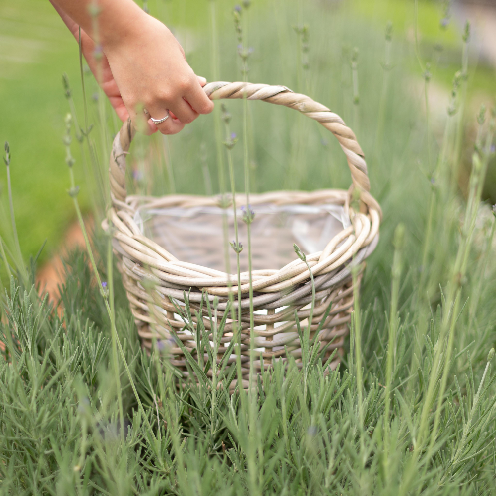 Flower Girl Basket