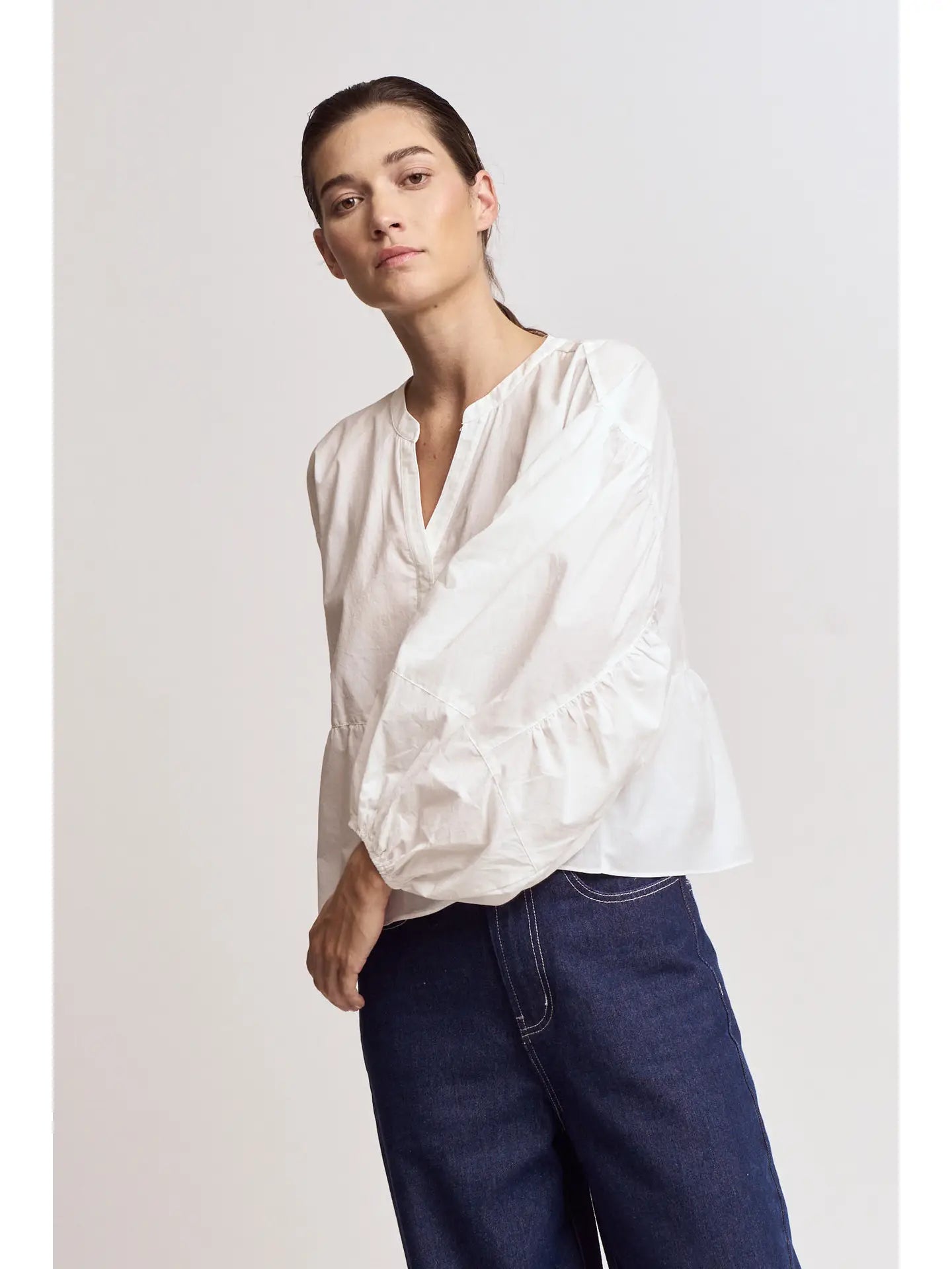 Panel Balloon Sleeve Blouse