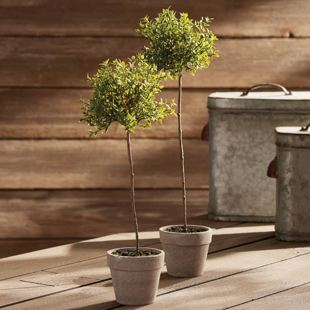 Faux Thyme Topiary 16"