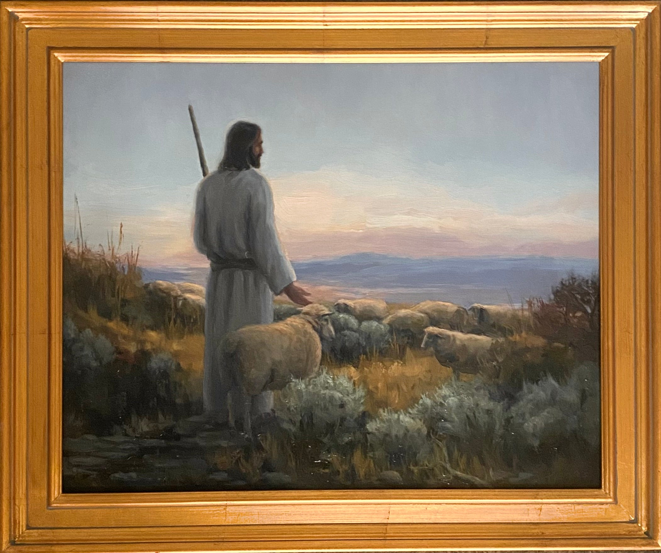 In the Shepherd's Care