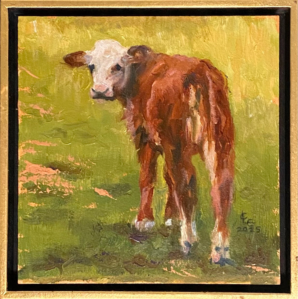 Baby Calf IV