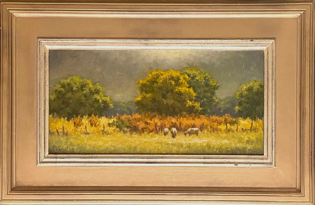 Morning Sheep