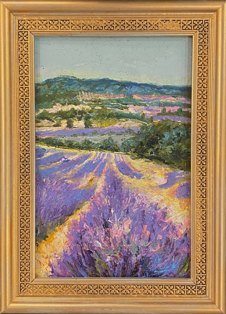 Lavender Fields