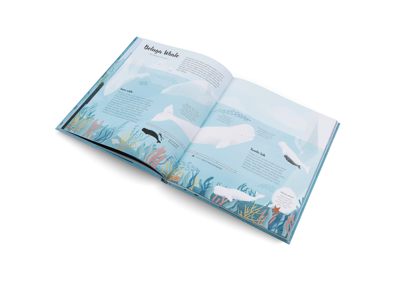 The World of Whales