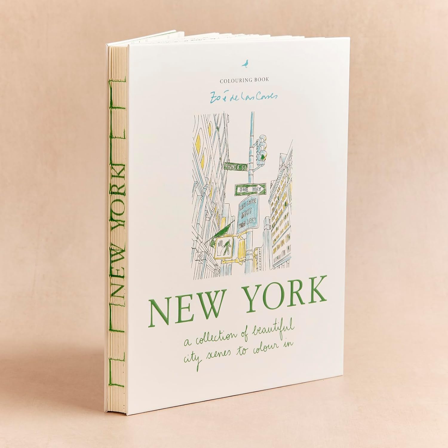 Zoé de Las Cases New York: a collection of beautiful city scenes to colour in