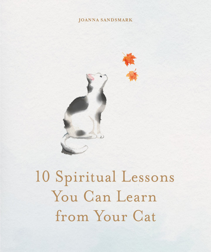 10 Spiritual Lessons You Can Learn from Your Cat