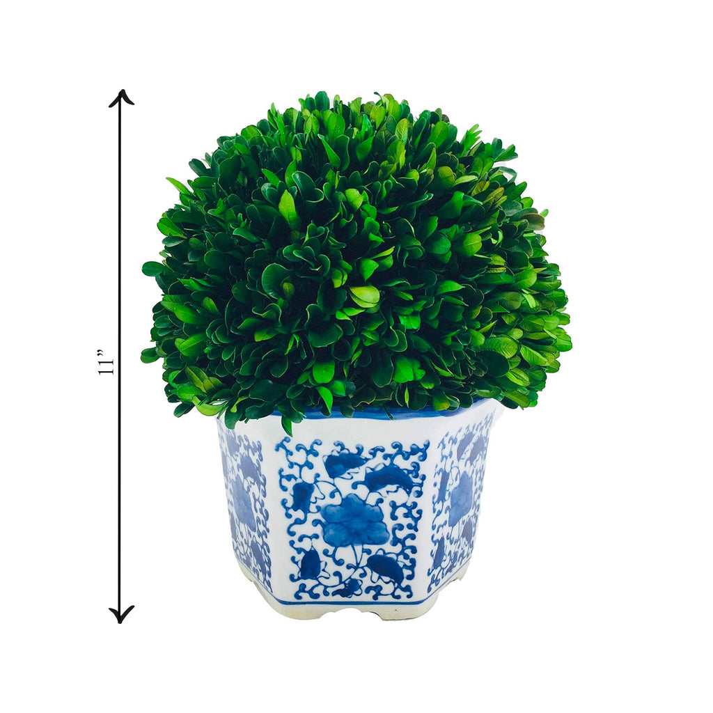 Boxwood Ball Topiary in Hexagon Blue & White Ceramic Pot