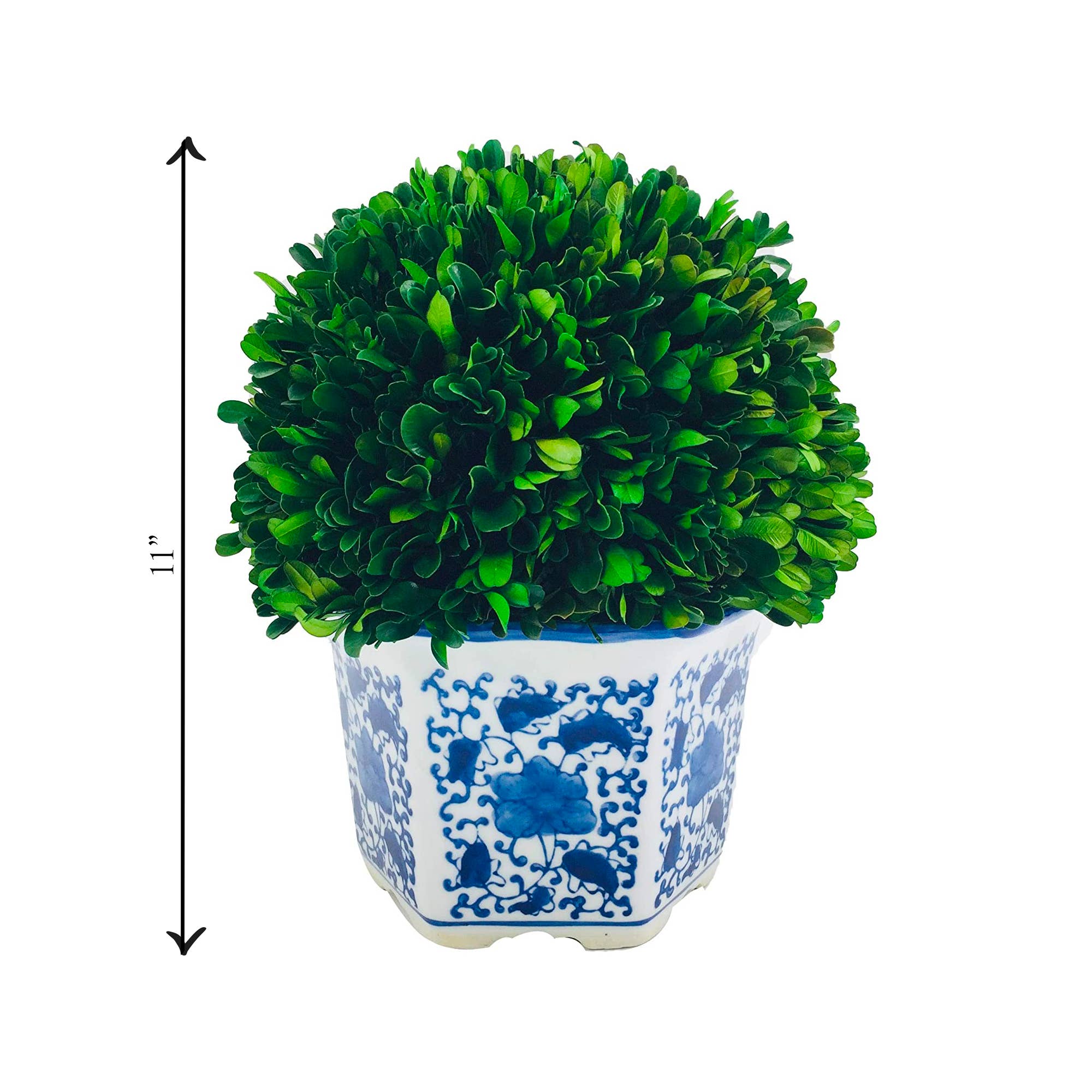 Boxwood Ball Topiary in Hexagon Blue & White Ceramic Pot