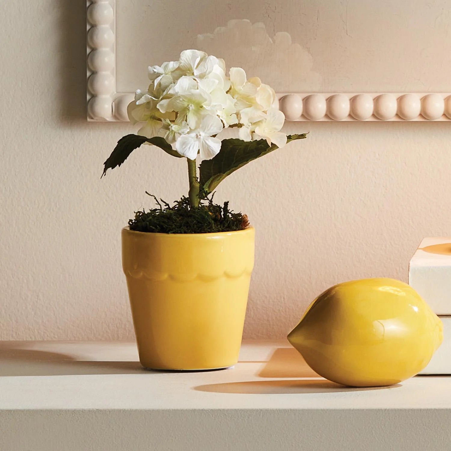 Mirabelle Mini Cachepot