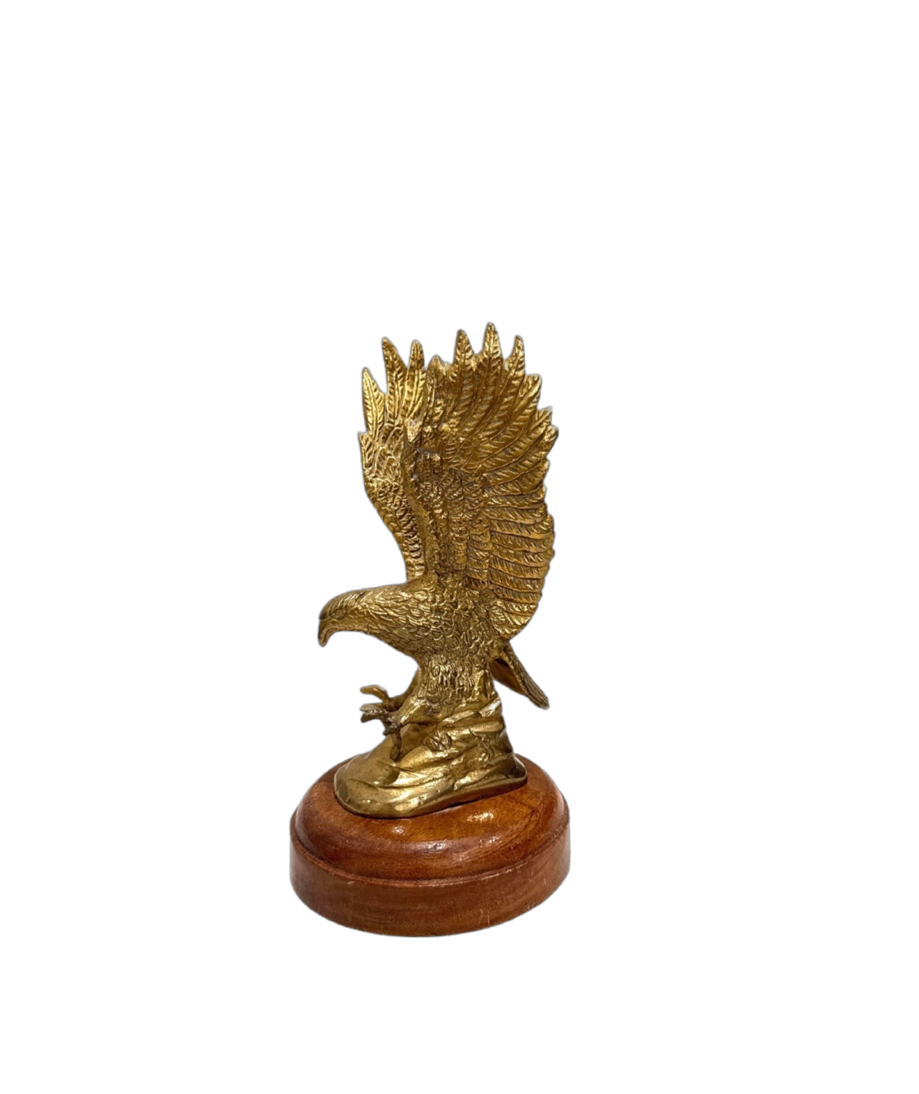 Brass American Eagle