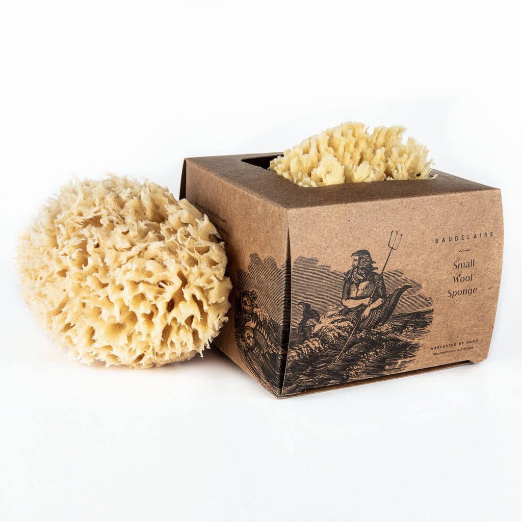 Bath Sea Sponge Gift Box