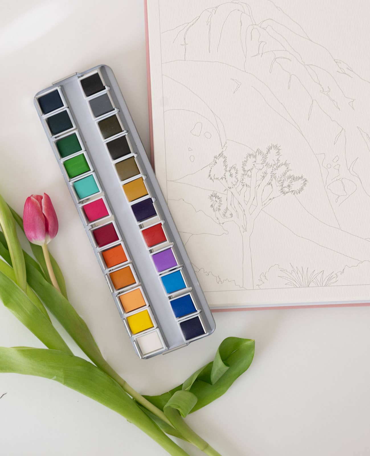 Watercolor Paint Palette (24 Color)