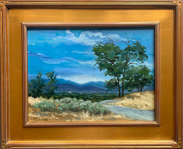 Valley Light