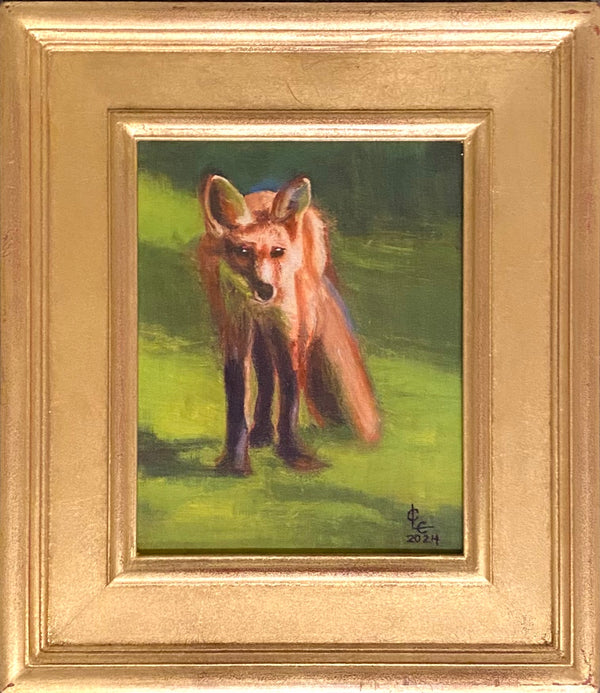Handsome Fox