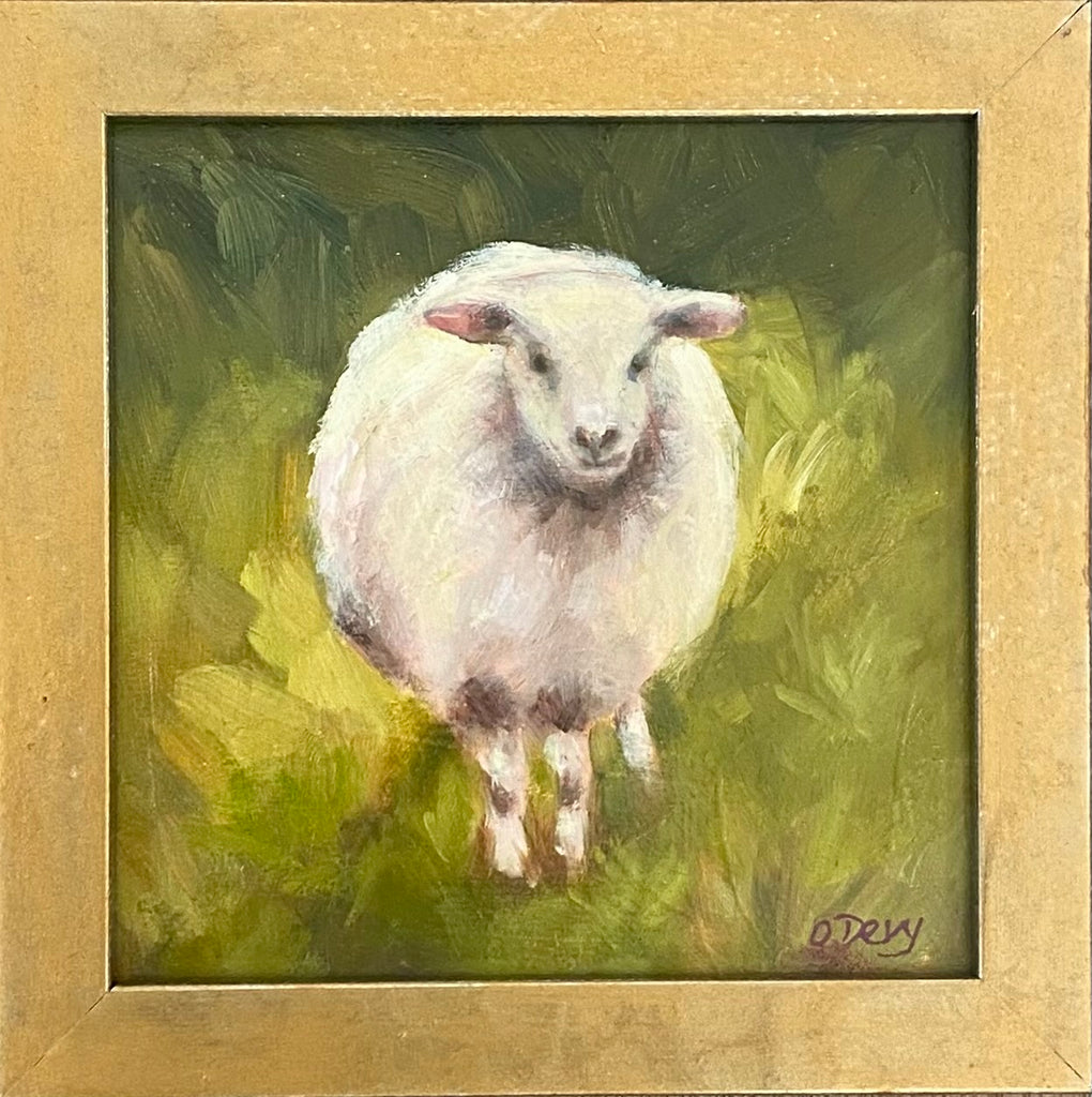 Mini Lamb