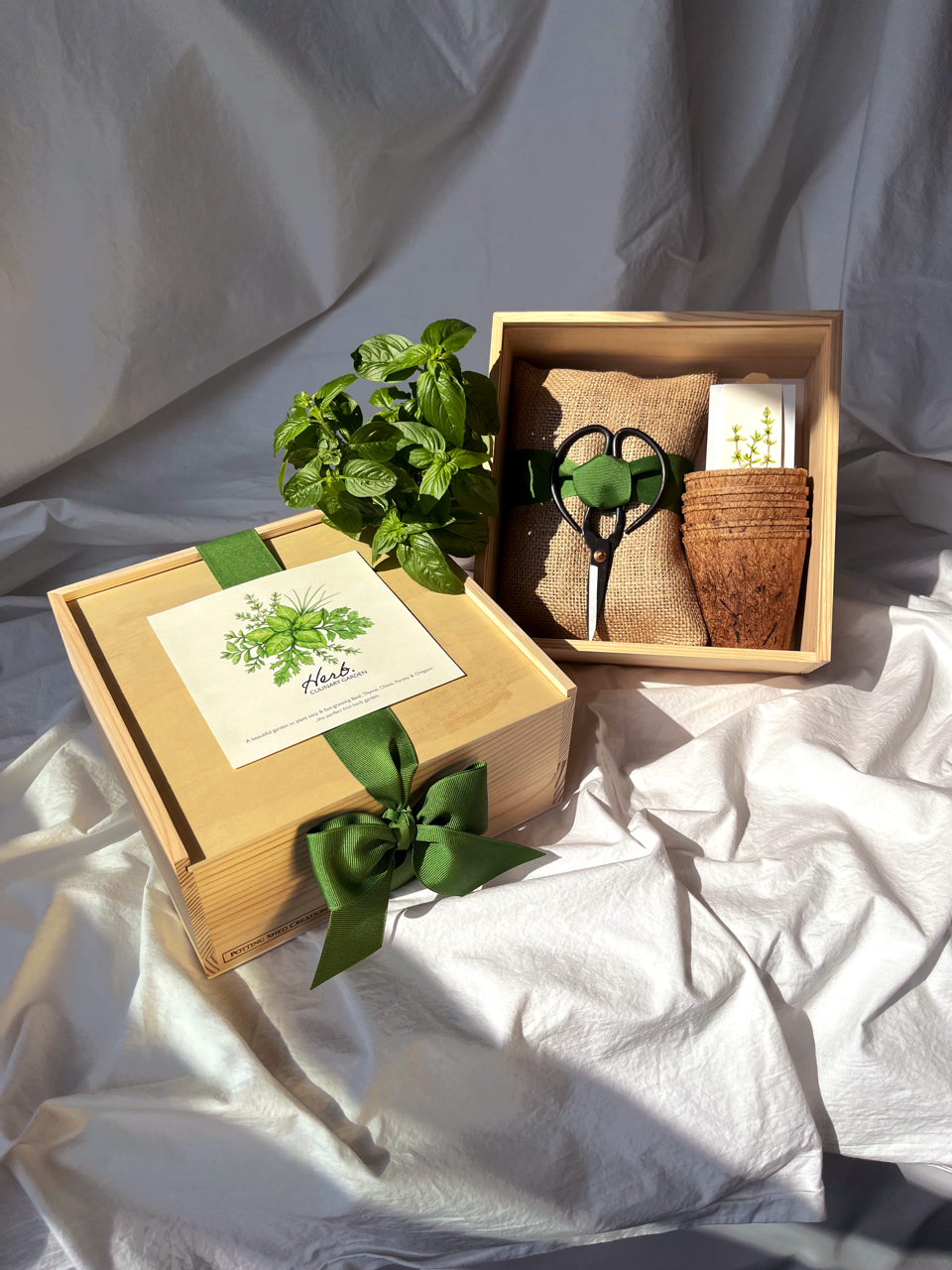Flower Cutting Garden Box