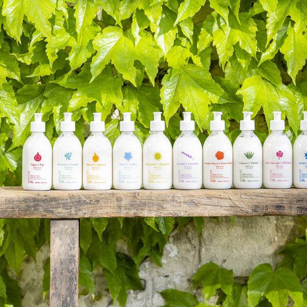 Bergamot Body Lotion