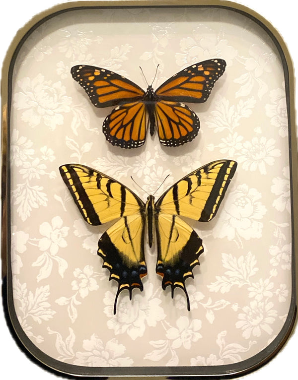 Swallowtail & Monarch