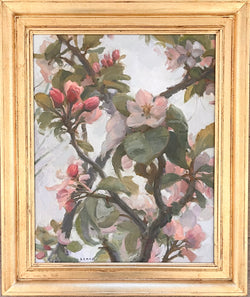 Apple Blossoms